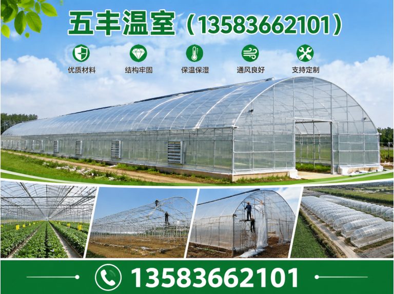山东大棚建设展示图